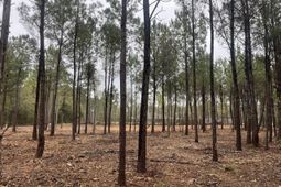 0 Praxis Court photo 4