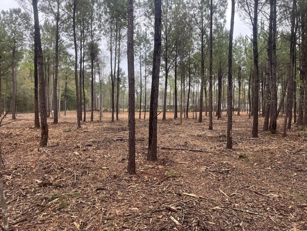 0 Praxis Court Photo 5