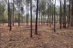 0 Praxis Court photo 4