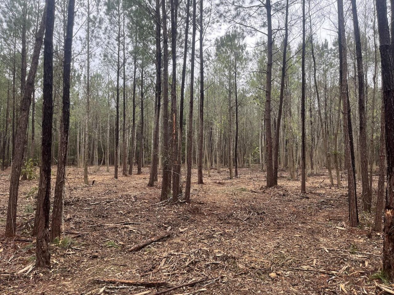 0 Praxis Court Photo 6