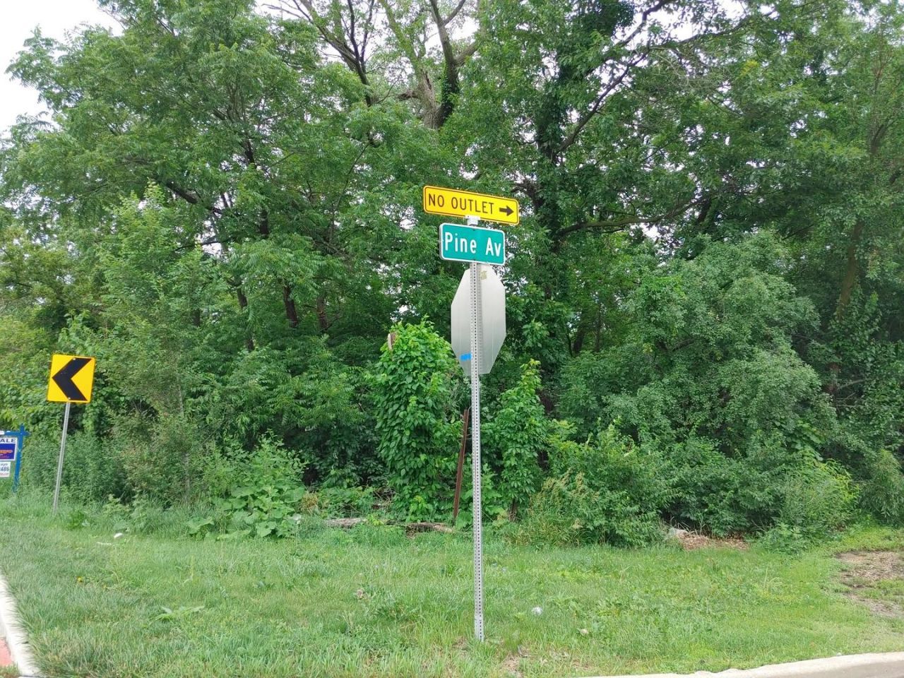 Nec Pine Avenue, West Chicago, IL 60185 Main Photo