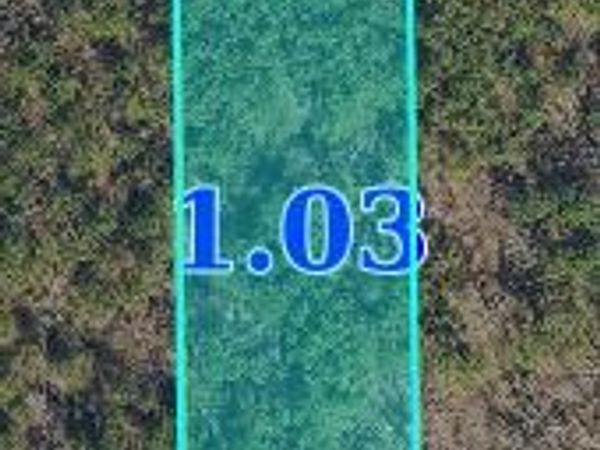 Odell Road, Holly Springs, MS 38635