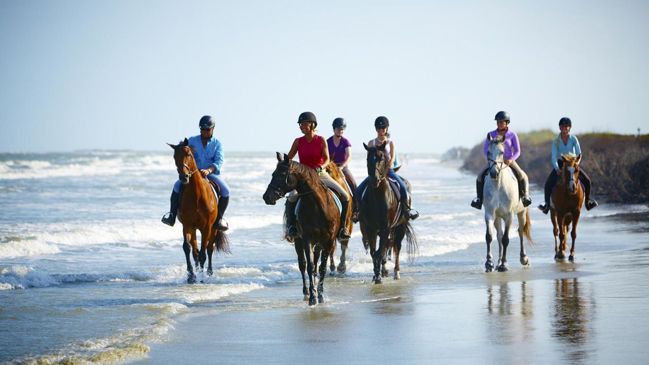 157 High Hammock Villas Photo 75