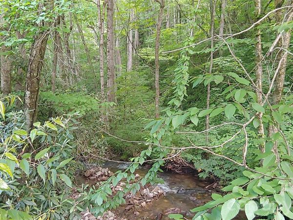 24 Village Lane, Waynesville, NC 28786