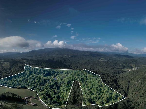 306 Bear Branch Rd, Roan Mountain, TN 37687