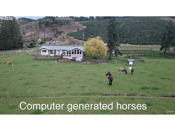 6110 SE YAMPO RD, Amity, OR 97101