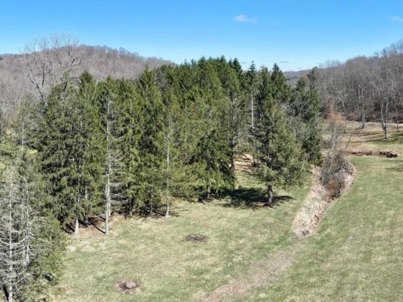 34383 Township Road 351, Brinkhaven, OH 43006 Photo 3