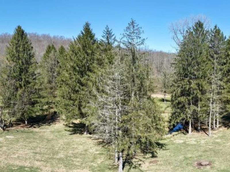 34383 Township Road 351, Brinkhaven, OH 43006 Photo 4