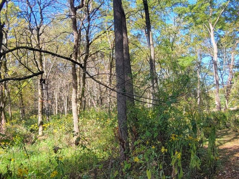 20561 Canada Road, Gambier, OH 43022 Photo 32