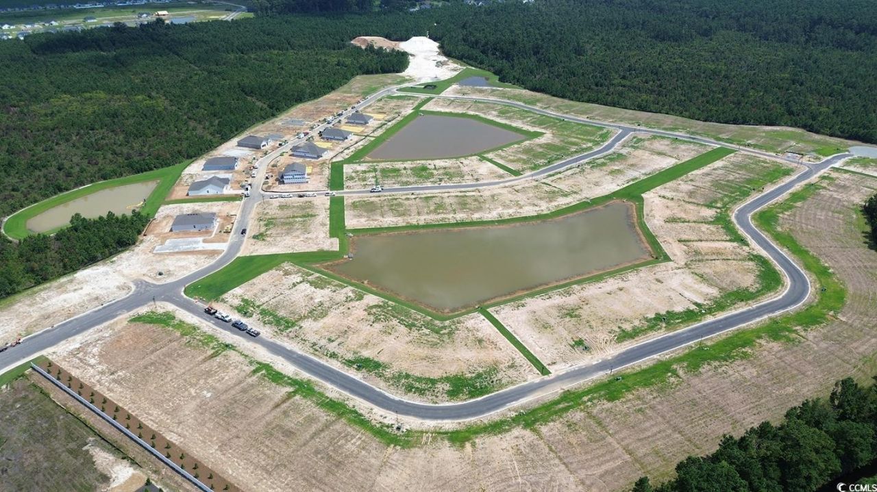 555 Firouz Dr Photo 19