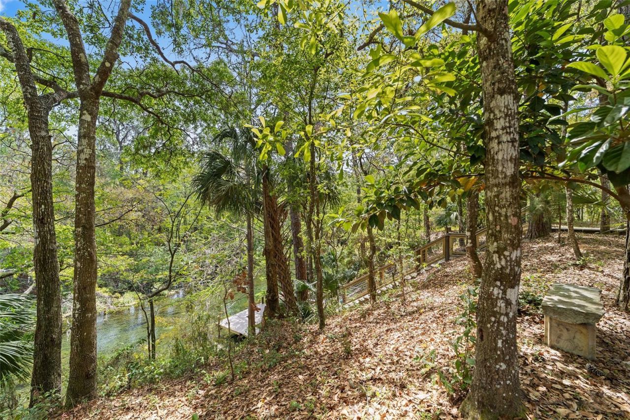 10894 SW 185th Terrace, Dunnellon, FL 34432 Photo