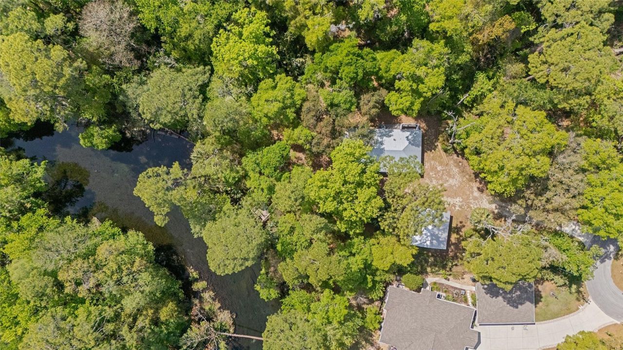 10894 SW 185th Terrace, Dunnellon, FL 34432 Photo