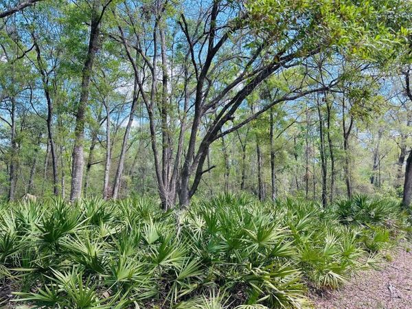 0 NW 30TH STREET, CHIEFLAND, FL 32626