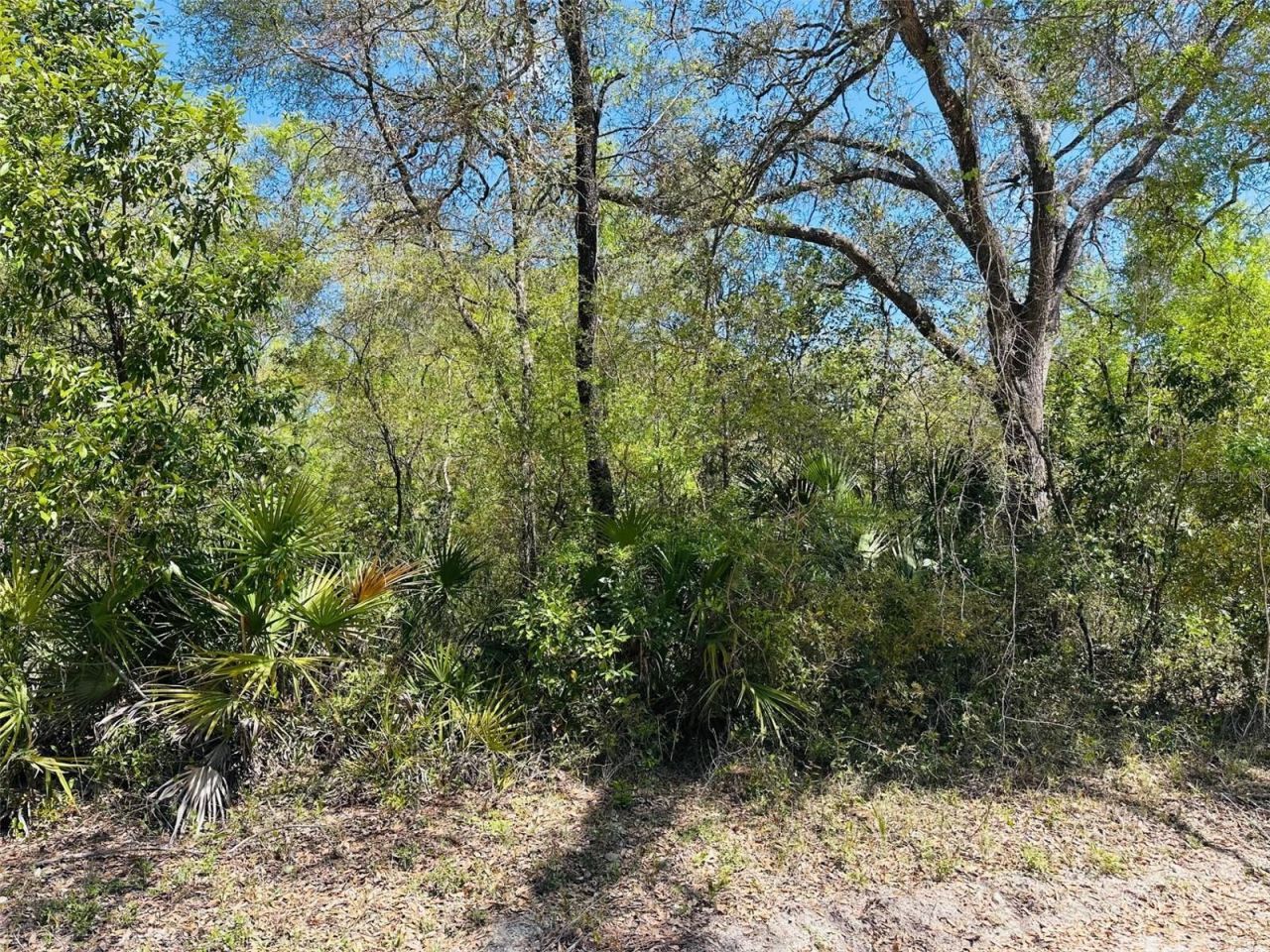 0 NW 30th Street, Chiefland, FL 32626 Photo