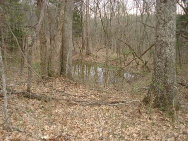 1551 Santa Fe Road, Brooksville, KY 41004