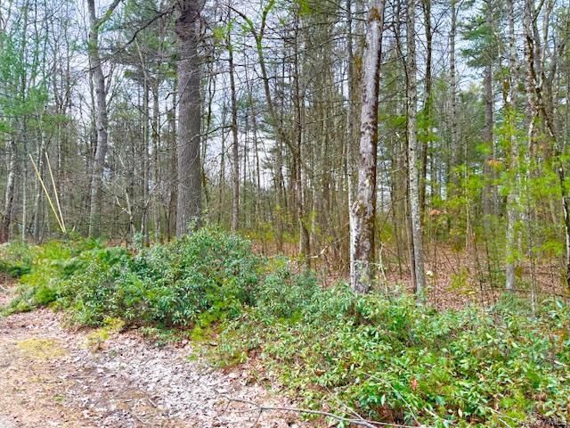 Lot 34 Pine Kill Road Pine Kill Road, Wurtsboro, NY 12790 Main Photo