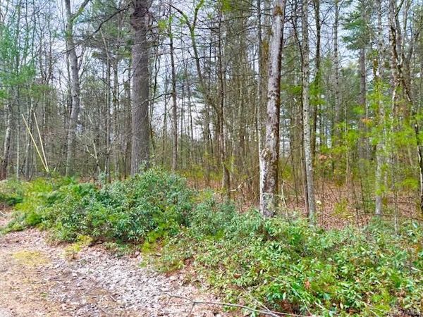 LOT 34 Pine Kill Road Pine Kill Road, Wurtsboro, NY 12790