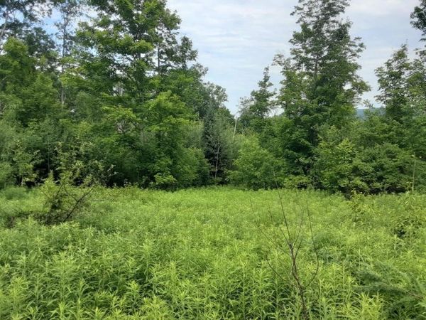 324 Crane Hill Road, Sugar Hill, NH 03486