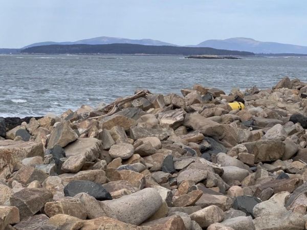 0 Butler Road, Frenchboro, ME 04635