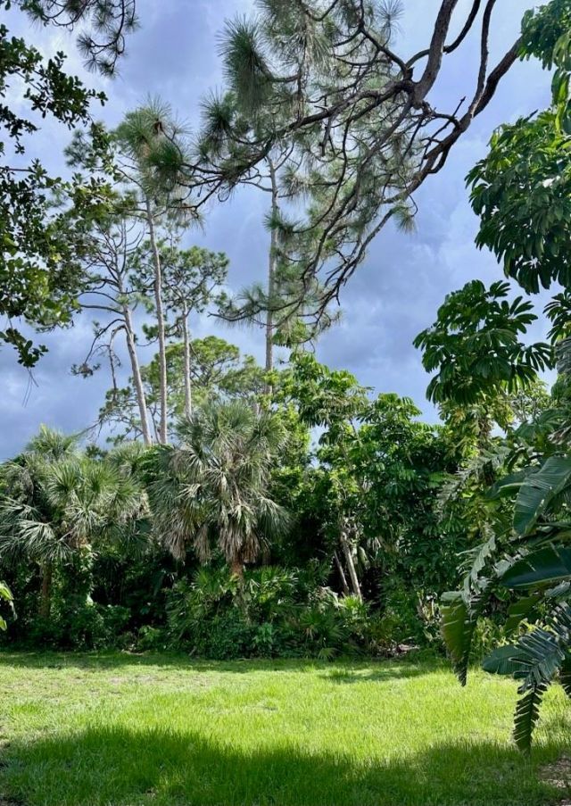 850 Van Gogh Road, Englewood, FL 34223 Photo