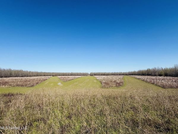 0 Priddy Road, Rolling Fork, MS 39159