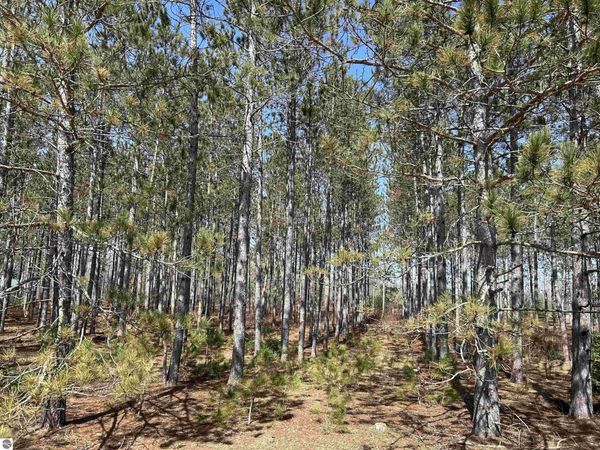 4 Meadow Lane, Thompsonville, MI 49683