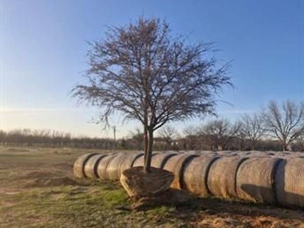 401 County Road 326, Comanche, TX 76442