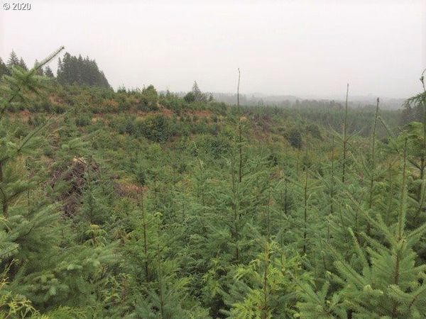 NW Ridge RD, Forest Grove, OR 97116