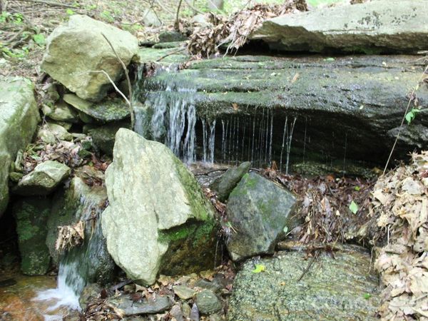 337 Roberson School Road, Moravian Falls, NC 28654