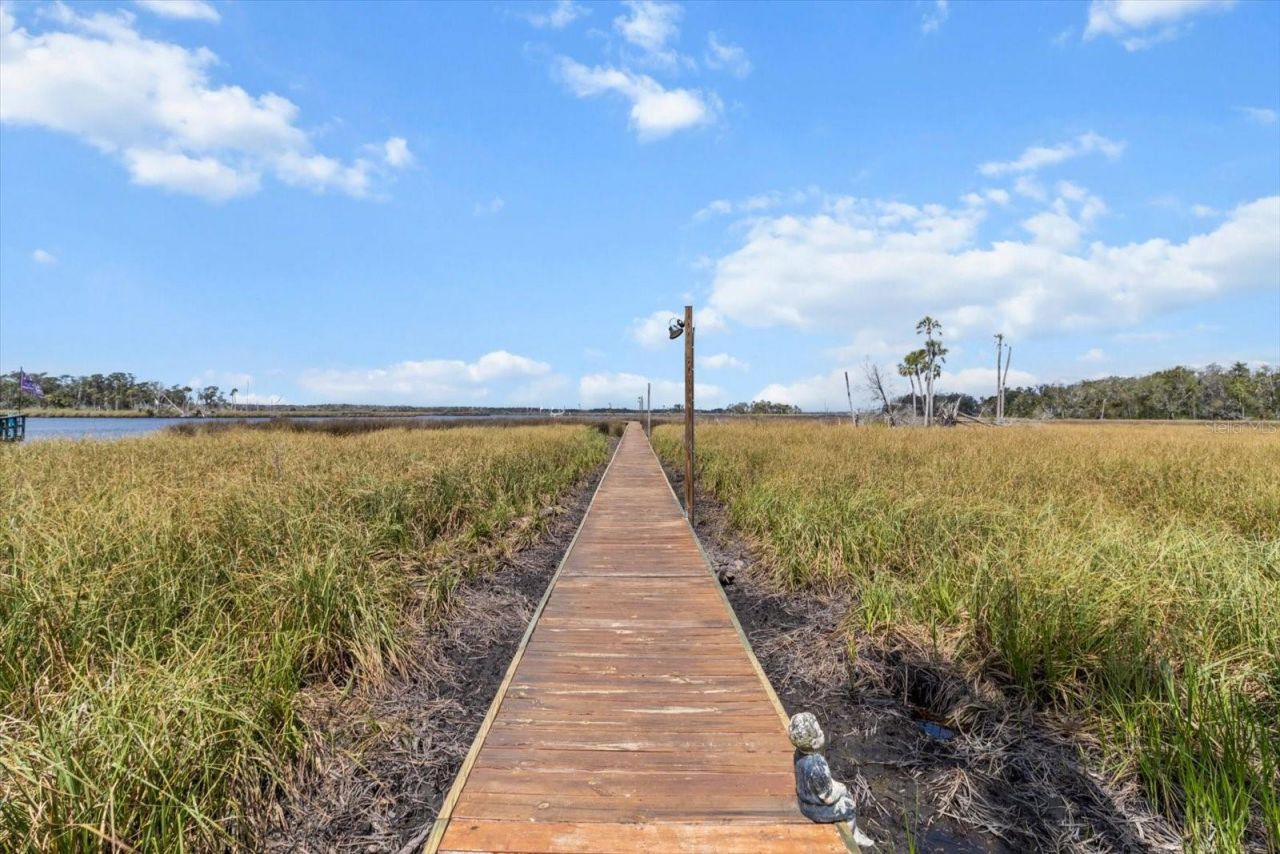 11927 W Timberlane Drive, Homosassa, FL 34448 Photo