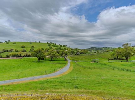 11195 Vintage Rd, Ione, CA 95640 Photo