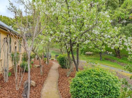 11195 Vintage Rd, Ione, CA 95640 Photo