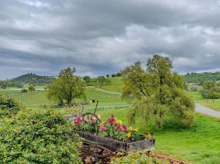 11195 Vintage Rd, Ione, CA 95640 Photo