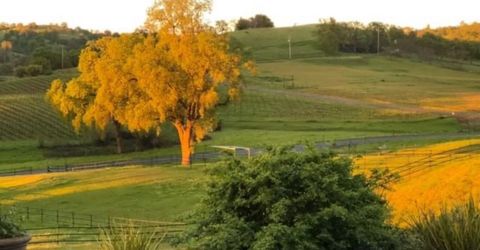 11195 Vintage Rd, Ione, CA 95640 Photo