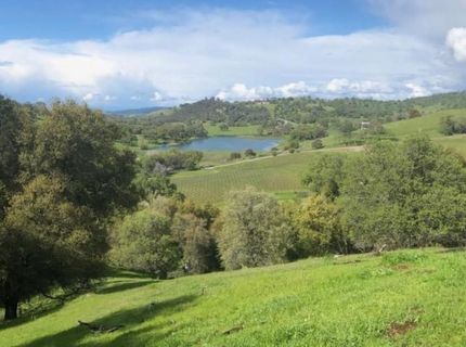 11195 Vintage Rd, Ione, CA 95640 Photo