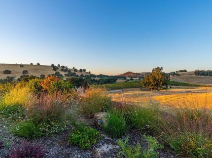 11195 Vintage Rd, Ione, CA 95640 Photo