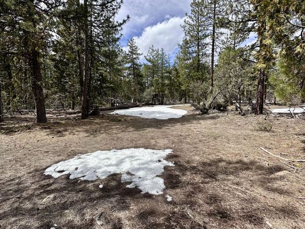 Blackbird Drive, Unit 10 & 11, Bonanza, OR 97623