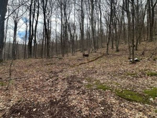 Kims Way, Stamford, NY 12167