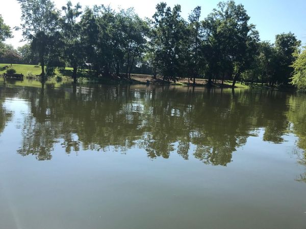 894 Riverbend Drive, Dayton, TN 37321