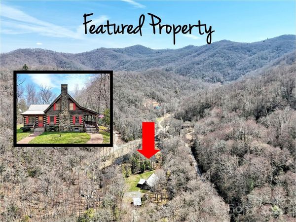 7810 Little Snowbird Road, Robbinsville, NC 28771