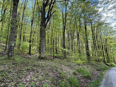 Lot 147 Cabin Mountain Road, Davis, WV 26260
