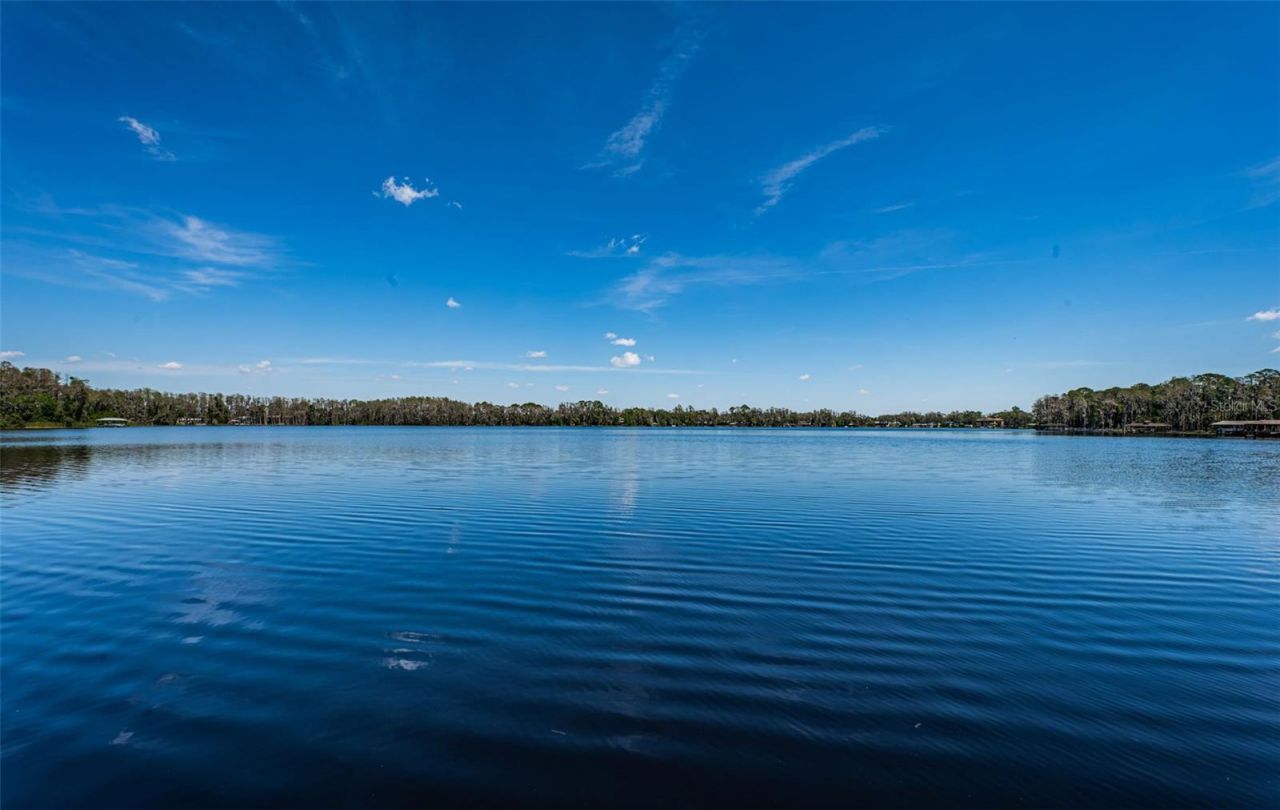 18725 Jiretz Road, Odessa, FL 33556 Photo