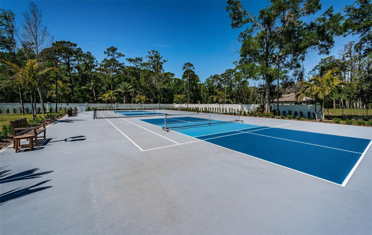 18725 Jiretz Road, Odessa, FL 33556 Photo