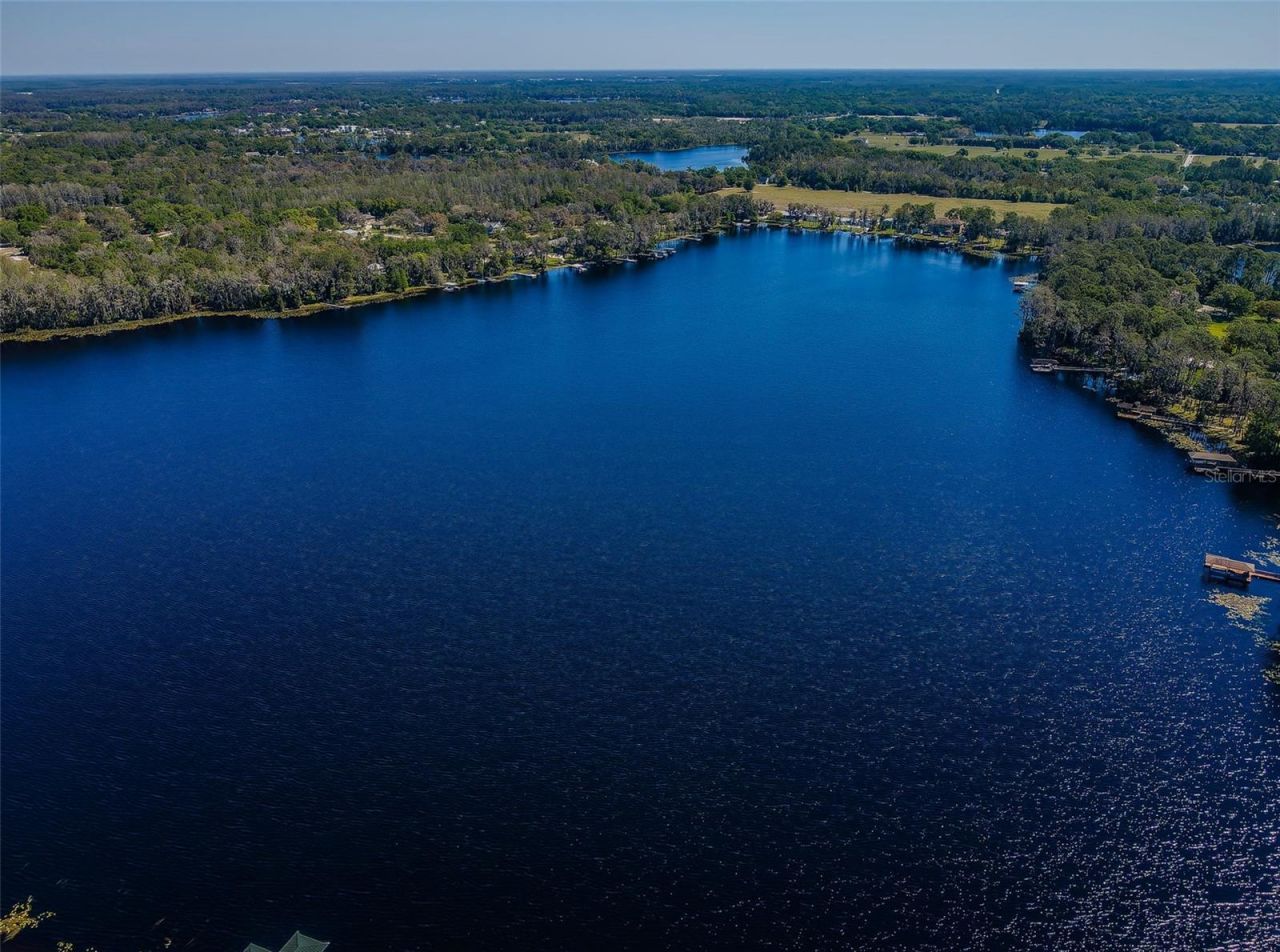 18725 Jiretz Road, Odessa, FL 33556 Photo