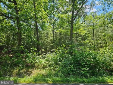 0 MT OLIVE ROAD, BEAVERDAM, VA 23015