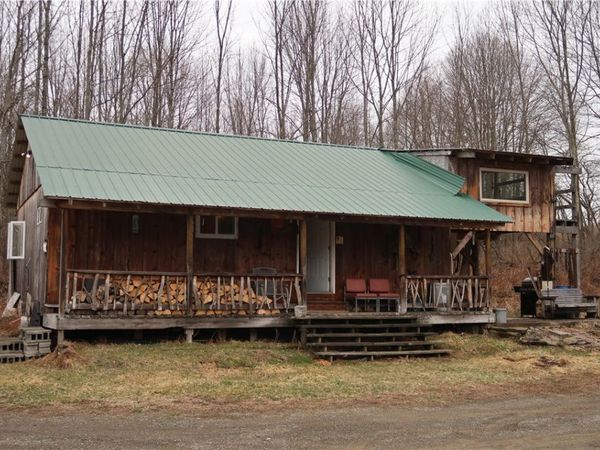 5156 Carr Road, Willet, NY 13863