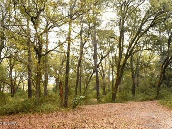 154 Cotherstone Court, Hampstead, NC 28443