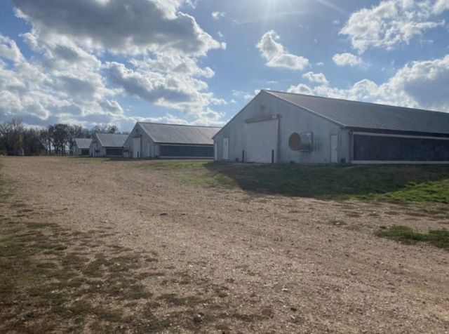 21743 Bozarth Cemetery Road, Gentry, AR 72734 Main Photo