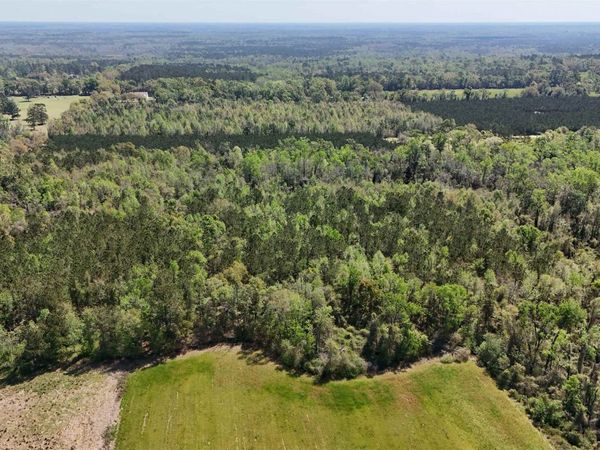 Vacant Attatulga Road, Lamont, FL 32336