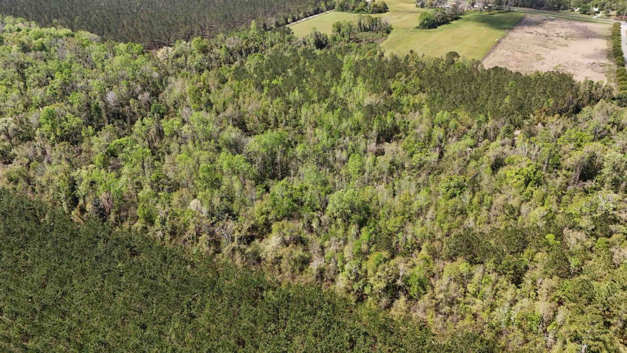 Vacant Attatulga Road, Lamont, FL 32336 Photo